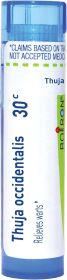 Thuja Occidentalis 30c 80 pellets
